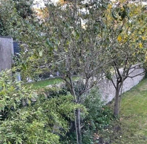 Grande Maison Proche Mer, Centre * Wimereux